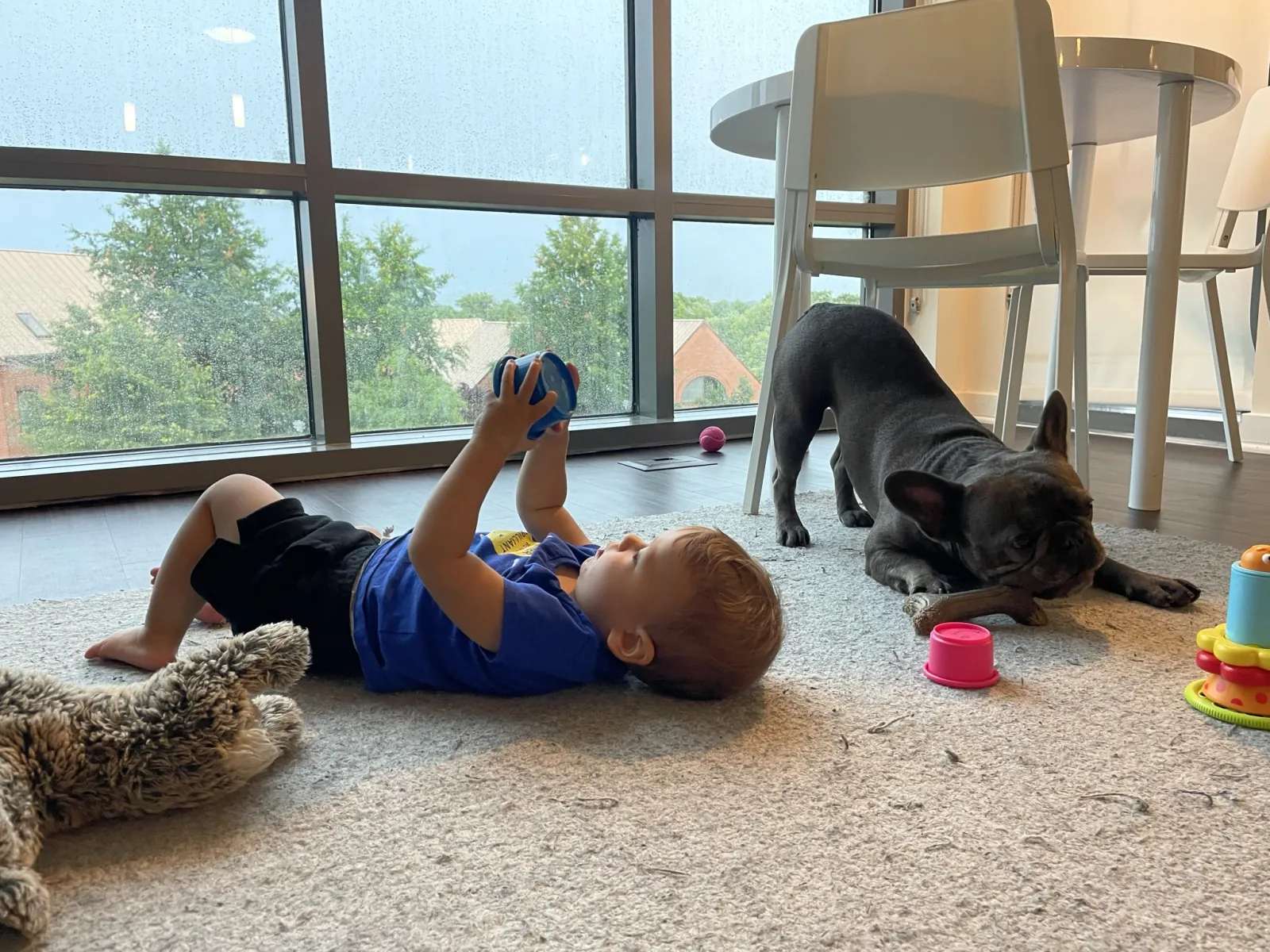 Zoe playing on a rug while Francis chews a bone beside rainy windows