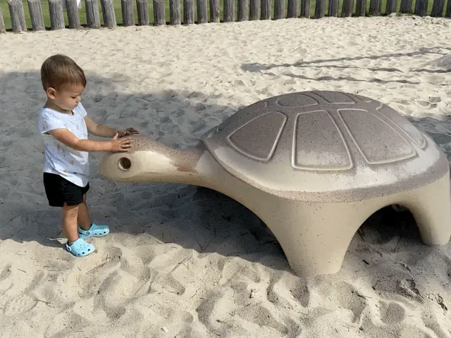 Zoe standing beside a turtle playground sculpture in the sand