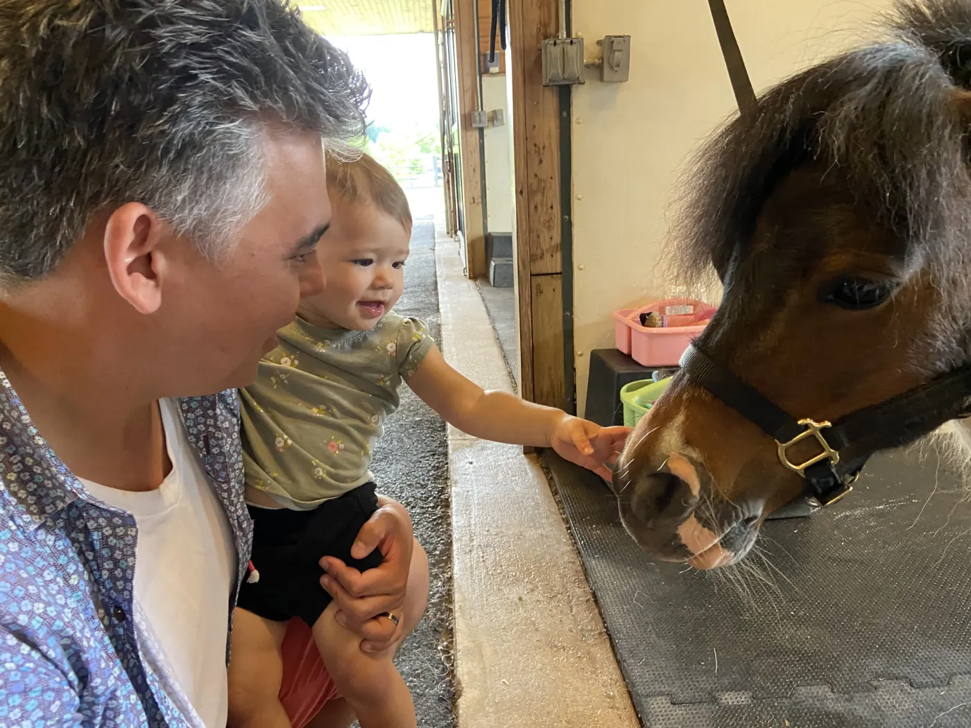 Zoe meeting a pony in Virginia