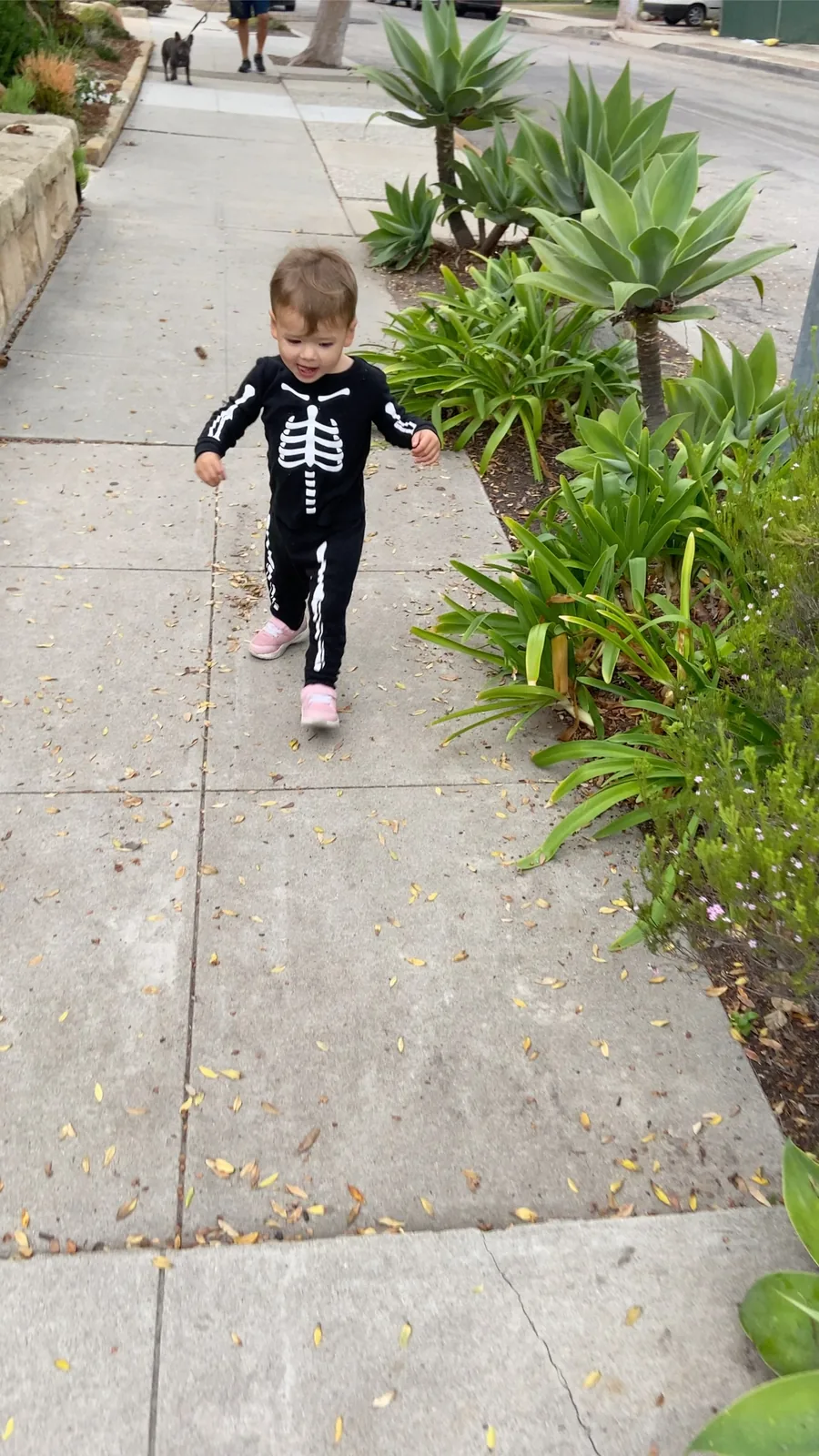 Zoe walking on a sidewalk in a black skeleton outfit while Francis follows behind