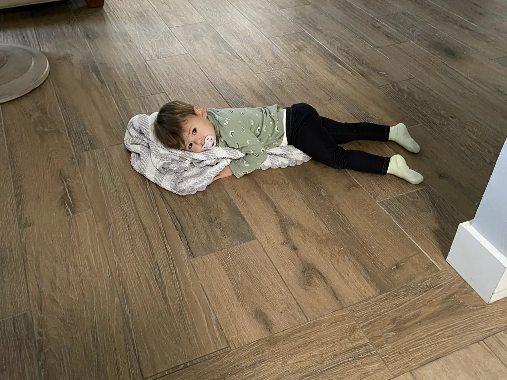Zoe lying on a blanket on a wood floor