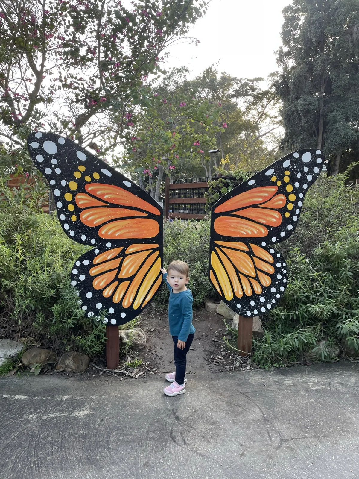 Zoe standing between large monarch butterfly wings