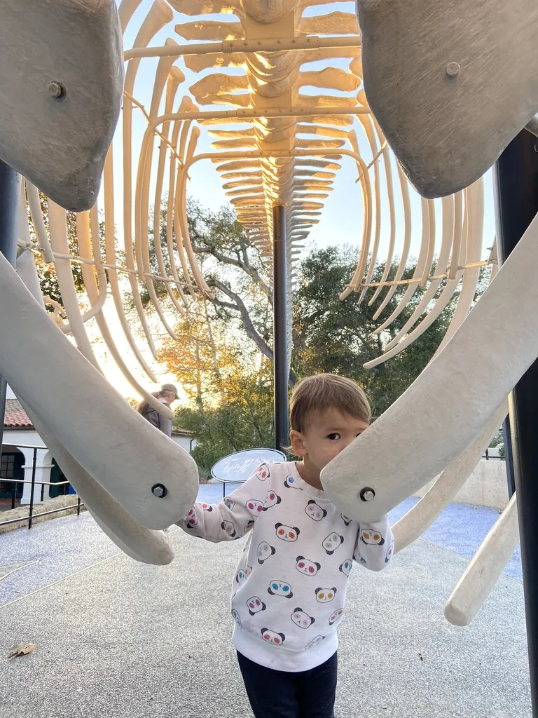 Zoe standing inside a whale skeleton rib display