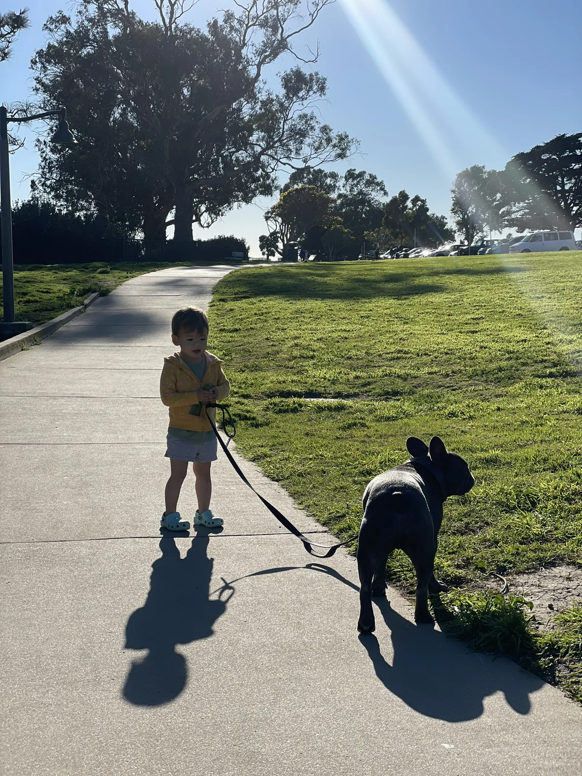 Zoe holding Francis's leash on a sunny park path