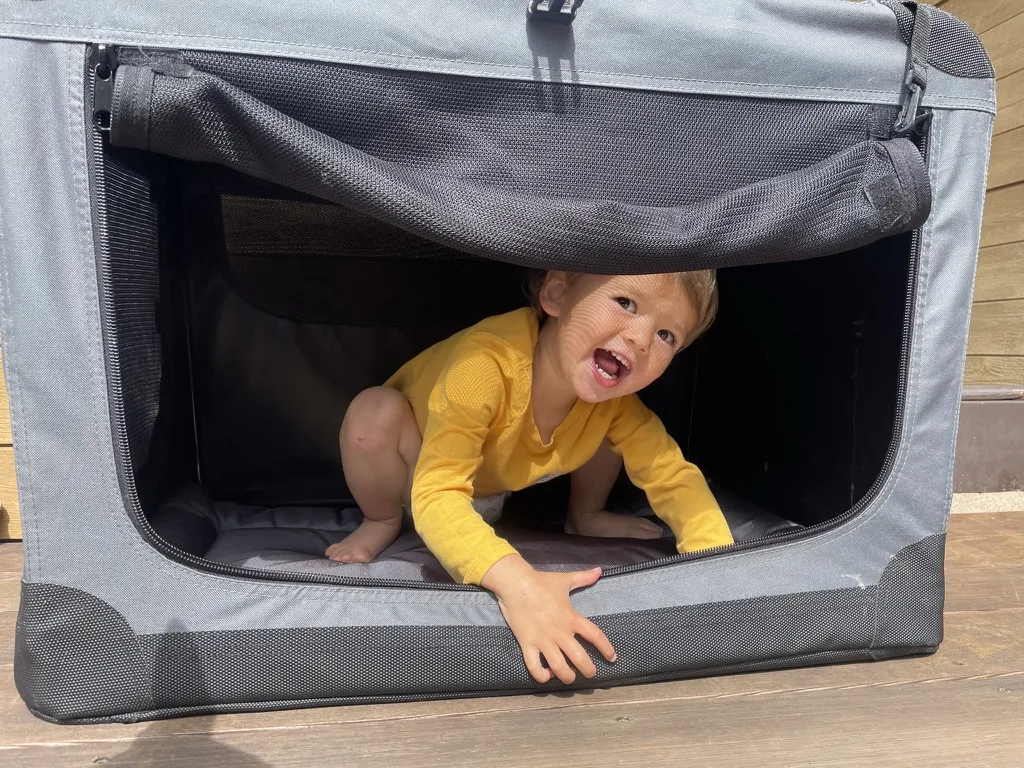Zoe laughing from inside a soft dog crate