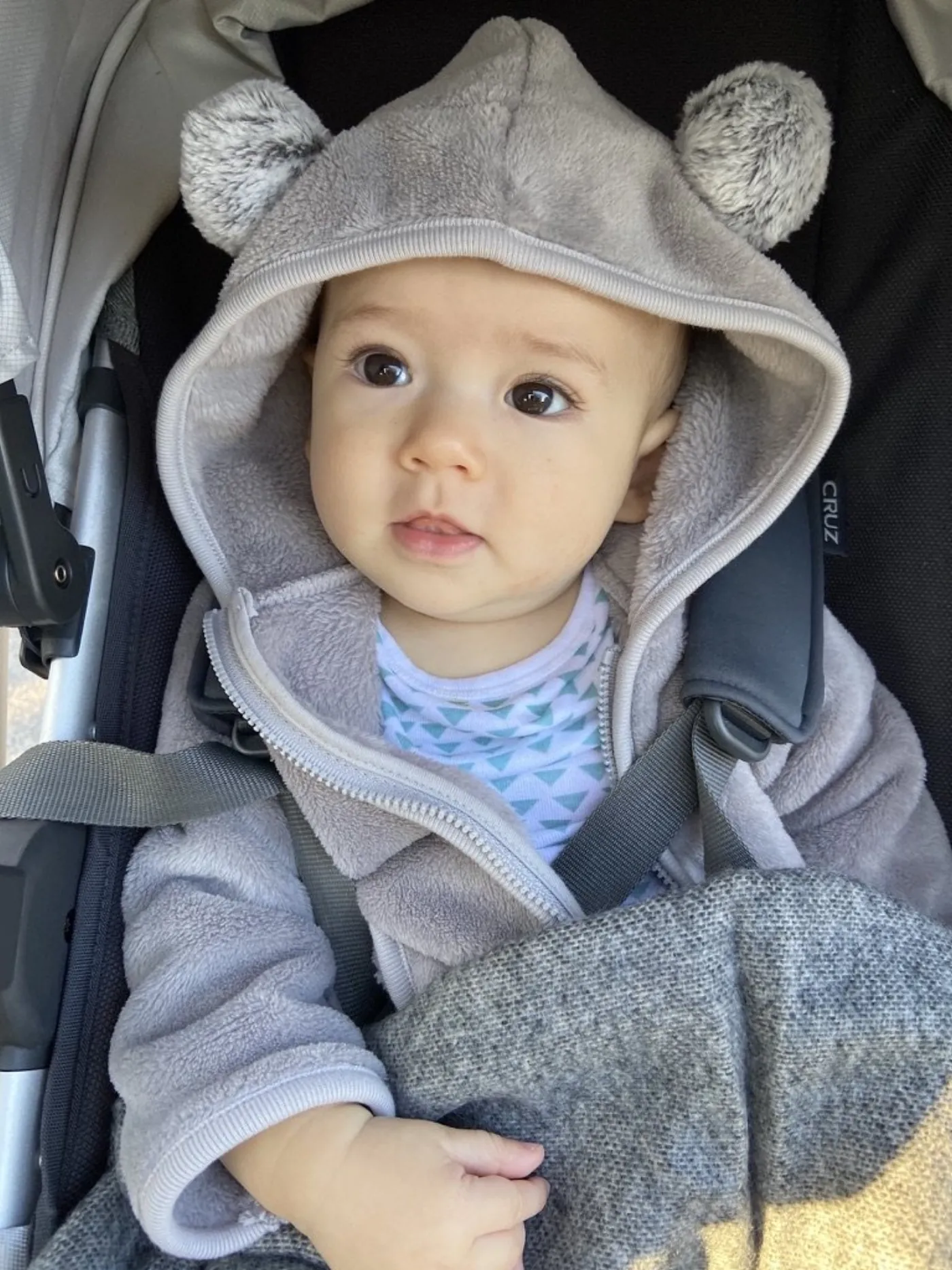 Zoe bundled in a stroller with a gray bear-eared hood