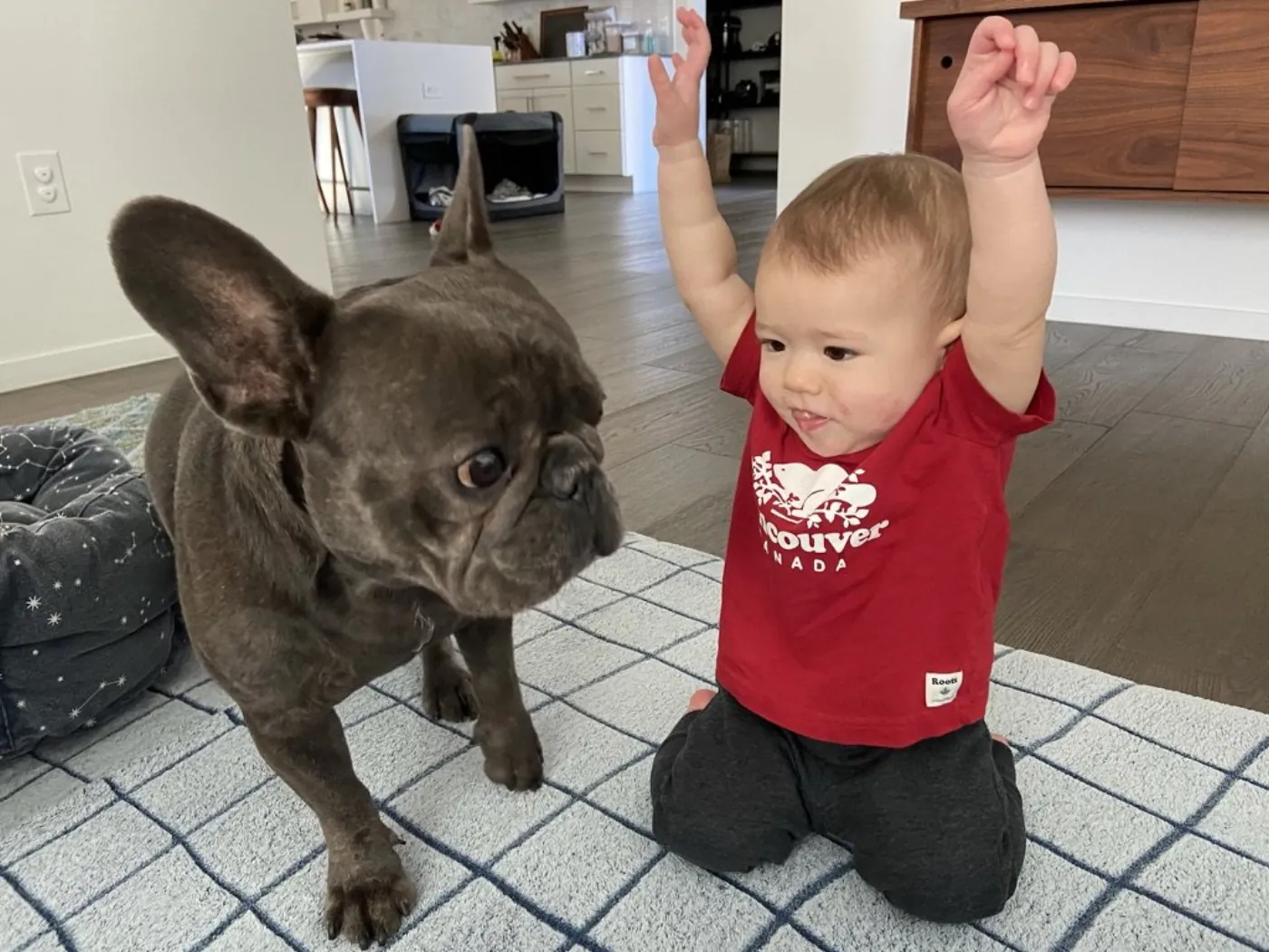 Zoe raising both arms next to Francis the Frenchie