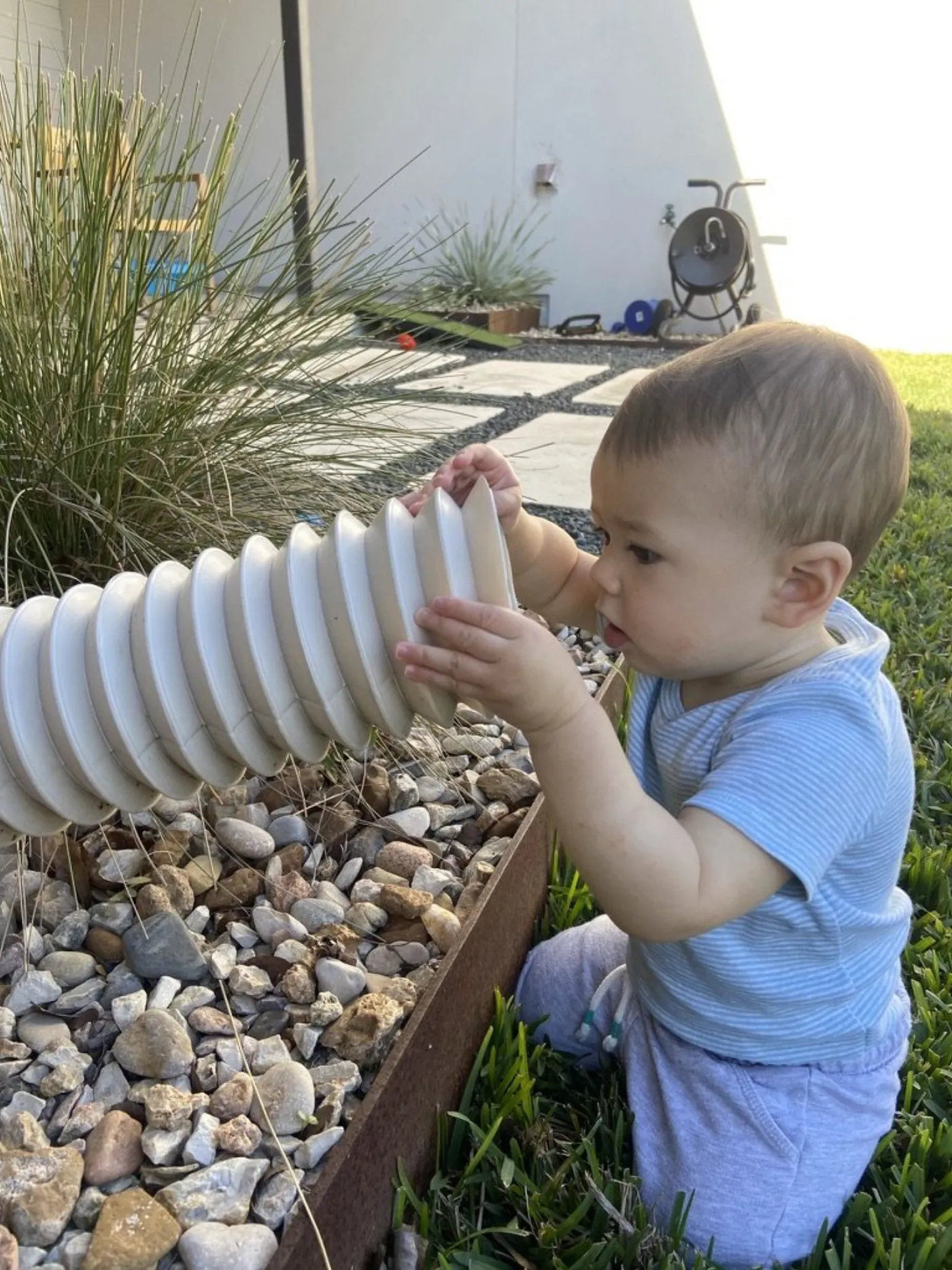 Zoe exploring a white corrugated garden tube outdoors